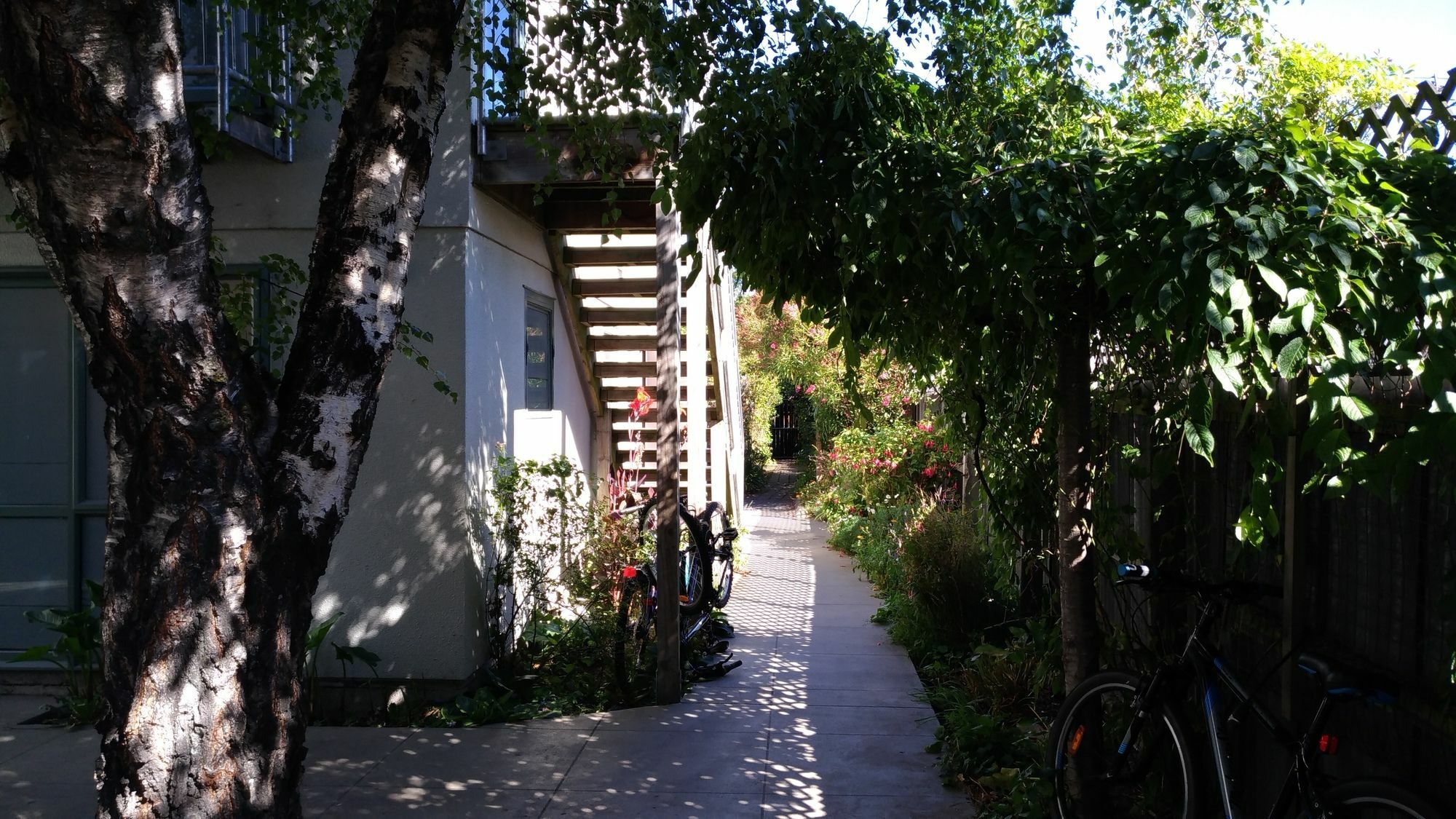 Kiwi House Hostel Крайстчърч Екстериор снимка